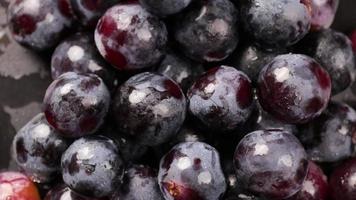 Fresh black grapes rotation background. Grapes close up, grapefruit black video