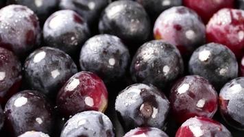 Fresh black grapes rotation background. Grapes close up, grapefruit black video