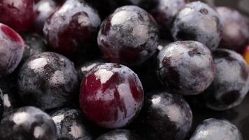 pomelo, fondo de rotación de uvas negras frescas. cerca de uvas video