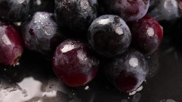 Grape, slow motion of grapes, grapefruit video