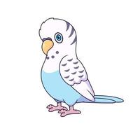 Cute budgie cartoon. Parakeet cartoon. Vector illustration