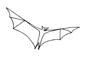 Simple vector drawing in black outline. Bat isolated on a white background. Nocturnal animal, Halloween.