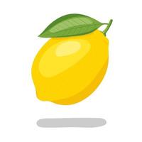 ilustración de icono de vector de limón amarillo aislado sobre fondo blanco