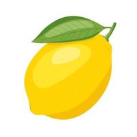 ilustración de icono de vector de limón amarillo aislado sobre fondo blanco