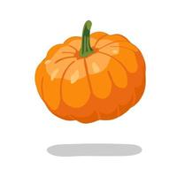 Orange pumpkin vector illustration isolated on white background. Autumn halloween pumpkin