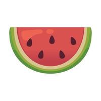 watermelon sweet fruit vector