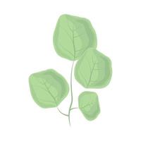 nature foliage leaf vector