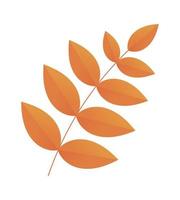 leaves nature icon vector