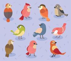 icons collection birds vector