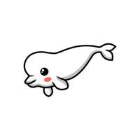 Cute little beluga whale cartoon vector