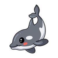 Cute little killer whale cartoon vector