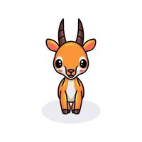 Cute little gazelle cartoon posing vector