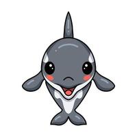 Cute little orca cartoon posing vector