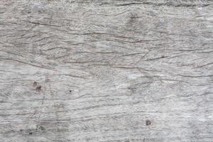 wood texture background photo