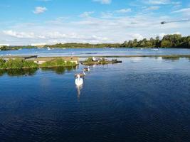 lindos pájaros acuáticos nadando, imágenes del lago willen y el parque que se encuentra en milton keynes, inglaterra. la gente disfruta en el lago en un caluroso día soleado de verano. videoclip capturado el 21-8-2022 foto