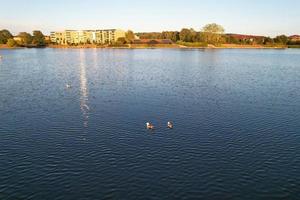 lindos pájaros acuáticos nadando, imágenes del lago willen y el parque que se encuentra en milton keynes, inglaterra. la gente disfruta en el lago en un caluroso día soleado de verano. videoclip capturado el 21-8-2022 foto