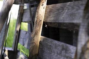 Horizontal and vertical wooden board with spiderweb, warm colors, photo on blurred background. Outdoor, rustic nature, ecological material. Decorative design element