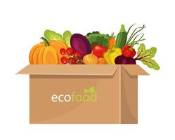 Eco food,  box with fresh vegetables vector