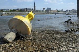 Climate change - the Rhine dwindles and grass turns brown during a severe drought in Dusseldorf, Germany photo