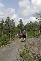 Stockholm, Sweden, 2019 - Hikers walking through a forest in Sweden near Stockholm photo