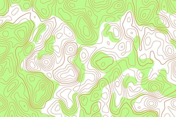 Topography map. Contour line abstract terrain relief texture. Geographic wavy landscape. Vector illustration.