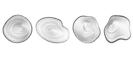 anillos de árboles troncos de madera. Círculo de textura de tocón anual. conjunto de rodajas de madera de línea vectorial. vector