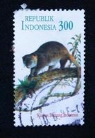 Sidoarjo, Jawa timur, Indonesia, 2022 -  philately with a bear cuscus animal illustration theme photo