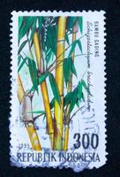 Sidoarjo, Jawa timur, Indonesia, 2022 -  philately with the theme of the illustration of the ivory bamboo plant in Indonesia photo