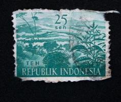 sidoarjo, jawa timur, indonesia, 2022 - filatelia con el tema de la ilustración del jardín de té foto