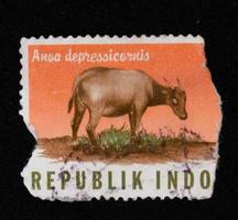 Sidoarjo, Jawa timur, Indonesia, 2022 - Stamp collection philately with anoa animal illustration theme photo