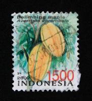 sidoarjo, jawa timur, indonesia, 2022 - filatelia de colección de sellos con un tema de ilustración de carambola dulce foto