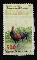 Sidoarjo, Jawa timur, Indonesia, 2022 - Stamp collection philately with the theme of Bekisar Chicken illustration, East Java photo