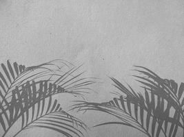 Palm leaf shadow on concrete wall background photo