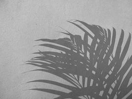 Palm leaf shadow on concrete wall background photo