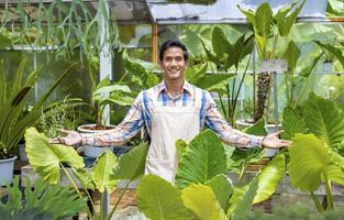 Asian gardener is welcoming customer while working inside the greenhouse for rainforest exotic plant consist of colocasia and fern photo