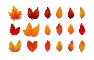 conjunto de hojas de otoño. follaje de otoño aislado sobre fondo blanco vector