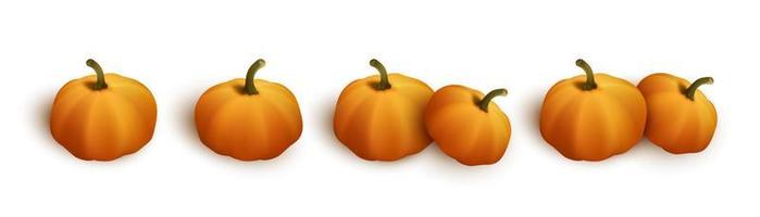 Set of autumn orange pumpkins for halloween or thanksgiving celebration vector