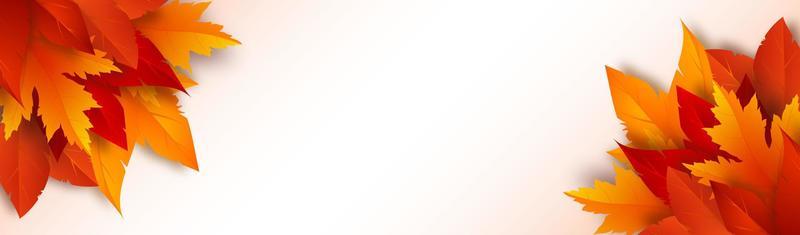 3d autumn foliage on white background. Banner with fall leaves and place for text