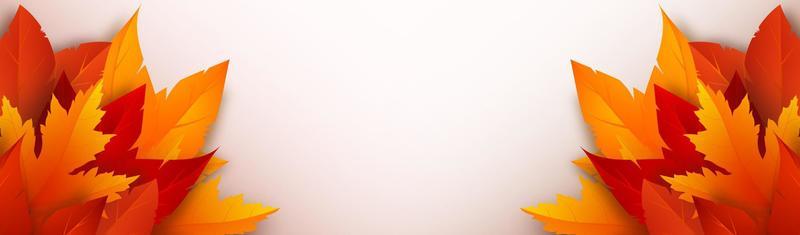 Realistic bright fall leaves. Autumn foliage on a white background