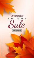 Autumn sale banner with realistic yellow, red, orange leaves and frame vector