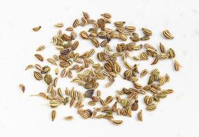 several Ajwain seeds close up on gray photo