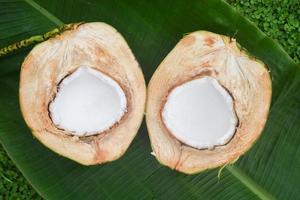 mitad de coco sobre fondo verde foto