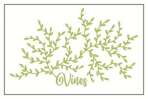 Vines Leaves Vector Illustration Design