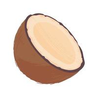 half of coconut vector