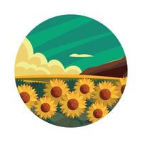 paisaje rural girasoles vector