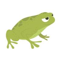 frog flat icon vector