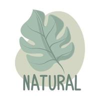 natural leave nature vector