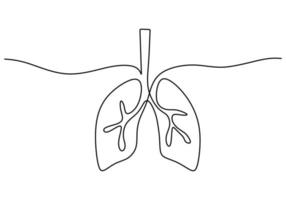 One continuous single line hand drawing of lungs on white background. vector