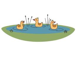 Cute duckling swam in water. Contour vector illustration.