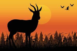 cute deer silhouette landscape graphic vector